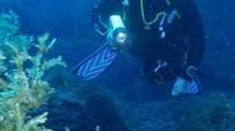 Anglesey-Divers