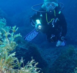 Anglesey-Divers